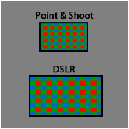What Camera should I get? Part III